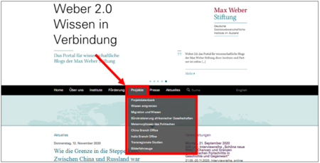 Der Bereich Projekte auf der Internetseite